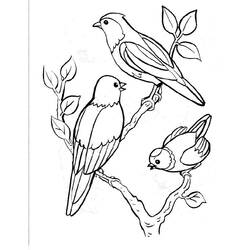 Раскраска: домашняя птица (Животные) #11841 - Раскраски для печати