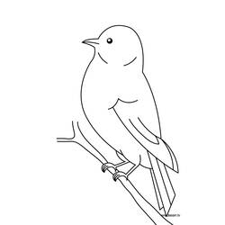 Раскраска: домашняя птица (Животные) #11844 - Раскраски для печати