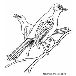 Раскраска: домашняя птица (Животные) #11871 - Бесплатные раскраски для печати