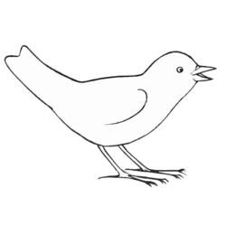 Раскраска: домашняя птица (Животные) #11884 - Раскраски для печати
