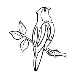 Раскраска: домашняя птица (Животные) #11893 - Раскраски для печати
