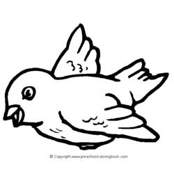 Раскраска: домашняя птица (Животные) #11904 - Бесплатные раскраски для печати
