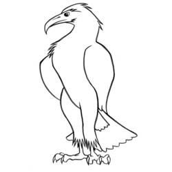 Раскраска: домашняя птица (Животные) #11930 - Бесплатные раскраски для печати