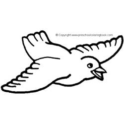 Раскраска: домашняя птица (Животные) #11940 - Бесплатные раскраски для печати