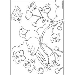 Раскраска: домашняя птица (Животные) #11944 - Бесплатные раскраски для печати