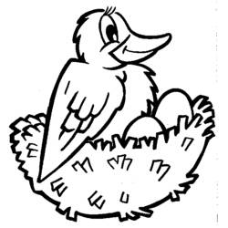 Раскраска: домашняя птица (Животные) #11958 - Бесплатные раскраски для печати
