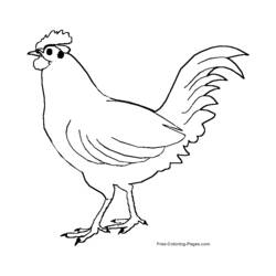 Раскраска: домашняя птица (Животные) #11959 - Бесплатные раскраски для печати