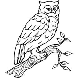 Раскраска: домашняя птица (Животные) #11974 - Раскраски для печати