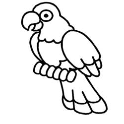 Раскраска: домашняя птица (Животные) #11975 - Раскраски для печати