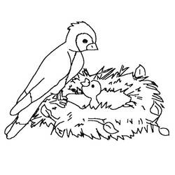 Раскраска: домашняя птица (Животные) #11980 - Раскраски для печати