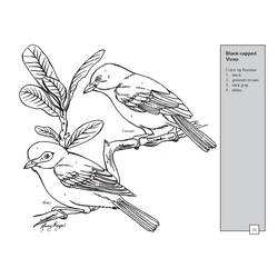Раскраска: домашняя птица (Животные) #11981 - Раскраски для печати