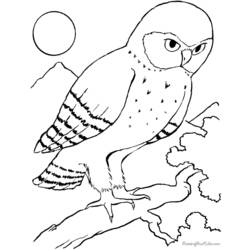 Раскраска: домашняя птица (Животные) #11990 - Бесплатные раскраски для печати