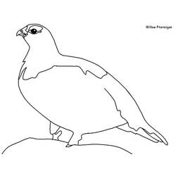 Раскраска: домашняя птица (Животные) #11991 - Бесплатные раскраски для печати