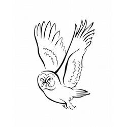 Раскраска: домашняя птица (Животные) #11992 - Бесплатные раскраски для печати