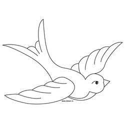 Раскраска: домашняя птица (Животные) #11998 - Раскраски для печати