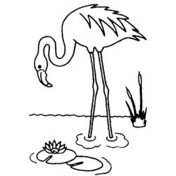 Раскраска: домашняя птица (Животные) #12015 - Бесплатные раскраски для печати