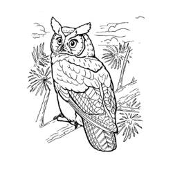 Раскраска: домашняя птица (Животные) #12054 - Бесплатные раскраски для печати