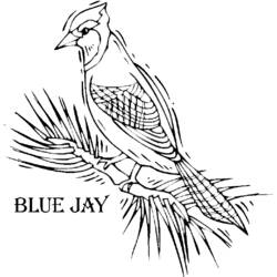 Раскраска: домашняя птица (Животные) #12062 - Бесплатные раскраски для печати