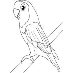 Раскраска: домашняя птица (Животные) #12084 - Раскраски для печати