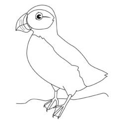 Раскраска: домашняя птица (Животные) #12098 - Бесплатные раскраски для печати