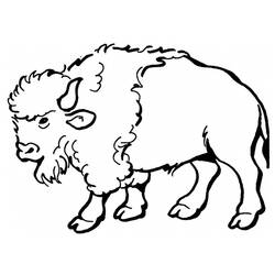 Раскраска: бизон (Животные) #1190 - Раскраски для печати
