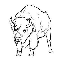 Раскраска: бизон (Животные) #1192 - Раскраски для печати