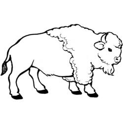 Раскраска: бизон (Животные) #1195 - Раскраски для печати