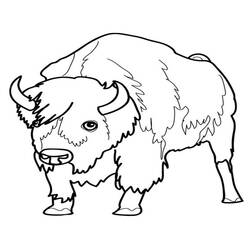 Раскраска: бизон (Животные) #1201 - Раскраски для печати