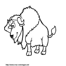 Раскраска: бизон (Животные) #1203 - Раскраски для печати