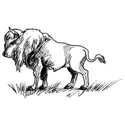 Раскраска: бизон (Животные) #1206 - Раскраски для печати