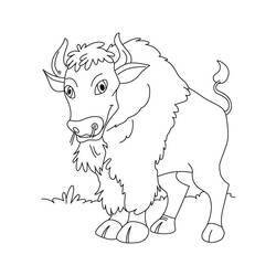 Раскраска: бизон (Животные) #1219 - Раскраски для печати
