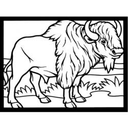 Раскраска: бизон (Животные) #1228 - Раскраски для печати