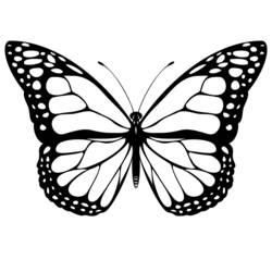 Раскраска: бабочка (Животные) #15662 - Раскраски для печати