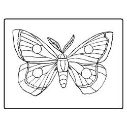 Раскраска: бабочка (Животные) #15667 - Бесплатные раскраски для печати