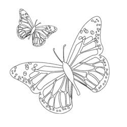 Раскраска: бабочка (Животные) #15672 - Бесплатные раскраски для печати