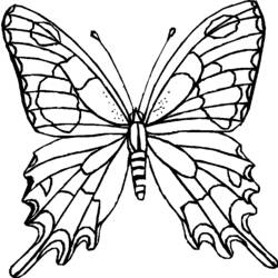 Раскраска: бабочка (Животные) #15676 - Раскраски для печати