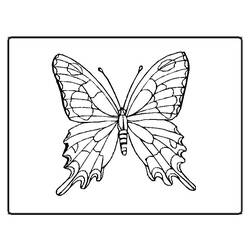 Раскраска: бабочка (Животные) #15678 - Бесплатные раскраски для печати