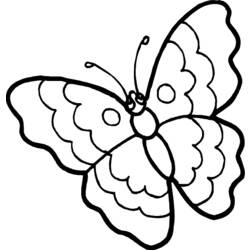 Раскраска: бабочка (Животные) #15681 - Раскраски для печати