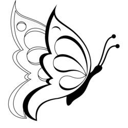 Раскраска: бабочка (Животные) #15684 - Раскраски для печати