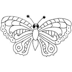Раскраска: бабочка (Животные) #15698 - Раскраски для печати