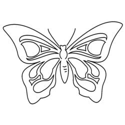 Раскраска: бабочка (Животные) #15707 - Раскраски для печати