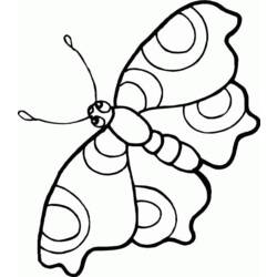 Раскраска: бабочка (Животные) #15708 - Бесплатные раскраски для печати