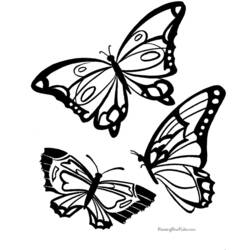 Раскраска: бабочка (Животные) #15730 - Бесплатные раскраски для печати