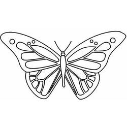 Раскраска: бабочка (Животные) #15744 - Раскраски для печати