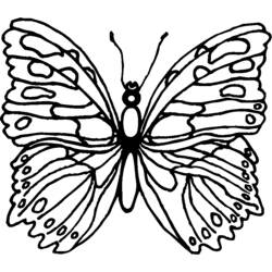Раскраска: бабочка (Животные) #15746 - Бесплатные раскраски для печати