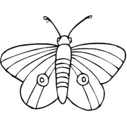 Раскраска: бабочка (Животные) #15752 - Бесплатные раскраски для печати