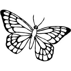 Раскраска: бабочка (Животные) #15768 - Раскраски для печати