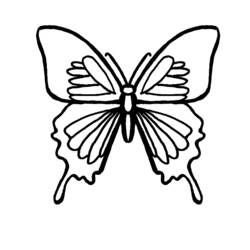 Раскраска: бабочка (Животные) #15779 - Бесплатные раскраски для печати