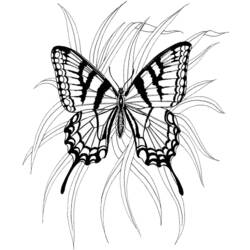 Раскраска: бабочка (Животные) #15786 - Бесплатные раскраски для печати