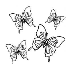 Раскраска: бабочка (Животные) #15788 - Бесплатные раскраски для печати